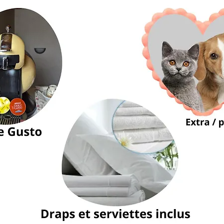 Fauvettes Dans La Maison De Proche Poitiers Ubytování v soukromí *