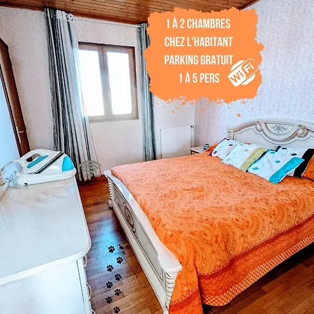 Fauvettes Dans La Maison De Proche Poitiers